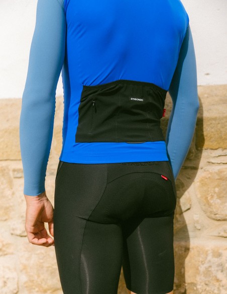 MAILLOT ALDE M/L COLOR EDITION