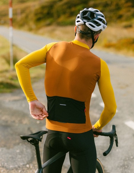 MAILLOT ALDE M/L COLOR EDITION