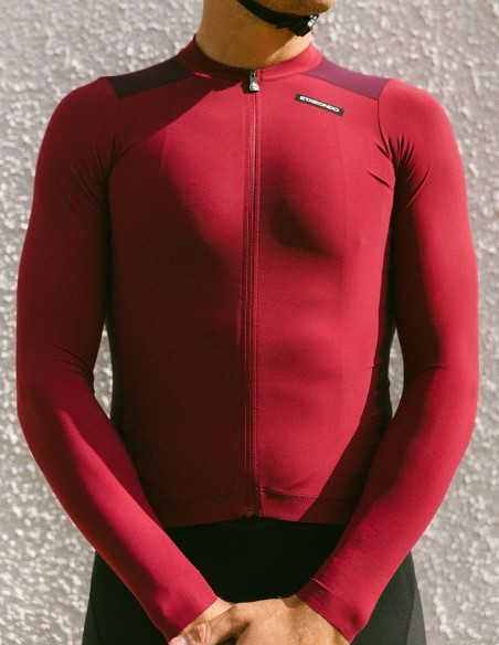 MAILLOT ALDE M/L COLOR EDITION