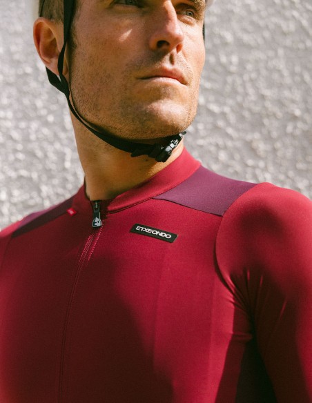 MAILLOT ALDE M/L COLOR EDITION
