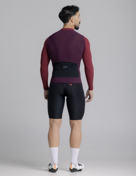 MAILLOT M/L ALDE COLOR EDITION