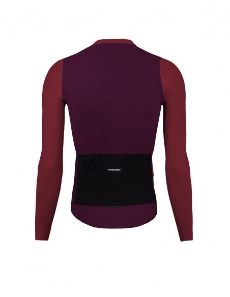 MAILLOT ALDE M/L COLOR EDITION
