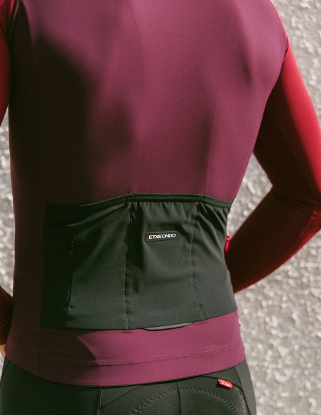 MAILLOT ALDE M/L COLOR EDITION