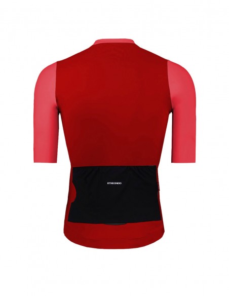 ALDE 110 COLOR EDITION JERSEY